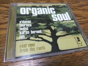 ☆廃盤 V.A. ORGANIC SOUL ～N