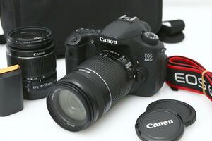 美品｜キヤノン EOS 60D ダブルズームキット シャッター回数 約2100回以下 γN740-2K3