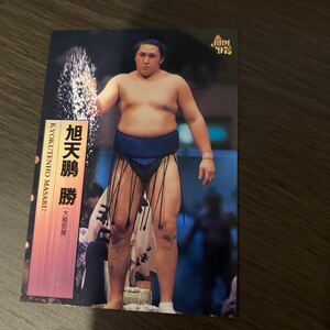 ９７ＢＢＭ　４３　旭天鵬　勝　大相撲カード