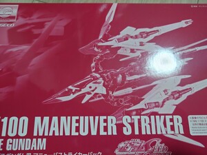 未開封品 プレミアムバンダイ MG 1/100 エクリプスガンダム用　マニューバストライカーパック　ライジンストライカーパック セット