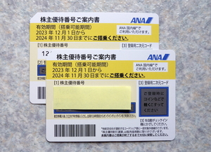 ●即決 全日空 ANA 株主優待券２枚　2024.11.30まで 番号通知のみ