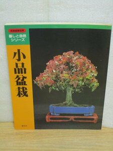 銘品写真と作成・飾り方■小品盆栽　別冊盆栽世界/樹石社/昭和56年　楓・黒松・小鉢品など