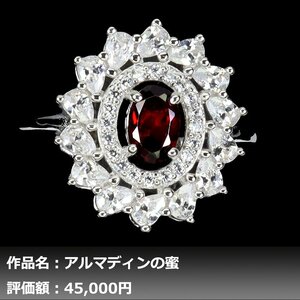 【1円新品】イケゾエガレ｜0.50ct 天然アルマディンガーネット ダイヤモンド K14WG仕上リング 19号｜作家モノ｜本物保証｜NGL鑑別対応