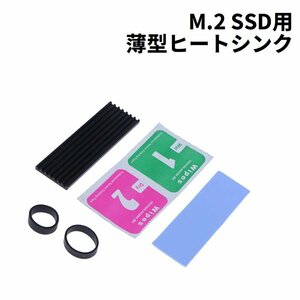 M.2 SSD用 薄型 ヒートシンク NGFF 2280対応 冷却 放熱 熱伝導 サーマルパッド/ワイプ/固定用ゴム 付属【追跡可能メール便】 [F6]