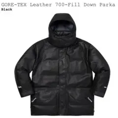 Supreme GORE-TEX Leather 700-Fill Down