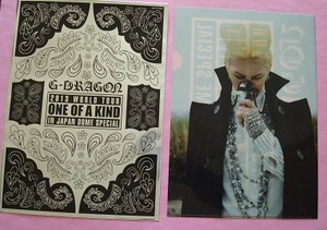 G-DRAGON 2013 WORLD TOUR ～ONE OF A KIND～ IN JAPAN DOME SPECIAL ジヨン ソロコン 公式グッズ　クリアファイル　M