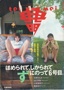 ザ テンメイ　典明　平成5年9月号　小林ひとみ　山口芳美　小林美和子　風吹めぐ　竹書房　A4判　