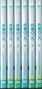 【DVD】若葉のころ 全6巻◆レンタル版 新品ケース交換済◆堂本剛 堂本光一 根津甚八 奥菜恵