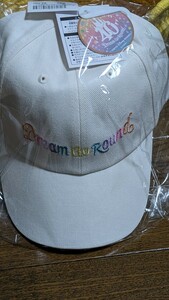 新品　ディズニーランド40周年限定　ドリームゴーラウンド　帽子　ホワイト　大人用　　大人気　完売品　未開封品　