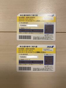 ANA株主優待　2枚　2024年11月30日まで　郵送対応