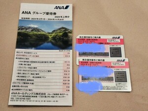  ANA グループ優待券 2024上期分 株主優待番号ご案内書 2枚 株主優待 株主割引券 航空券 全日本空輸 全日空 ANAホールディングス