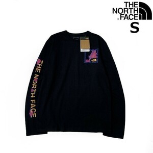 1円～!売切!【正規新品】THE NORTH FACE◆L/S CNY RECYCLED TEE 長袖 Tシャツ ロンT US限定 ボックスロゴ トラ 上質 袖ロゴ(S)黒 180902-20