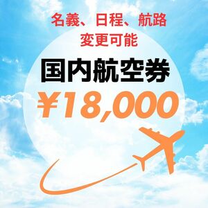 5月10日　那覇空港→羽田空港　ANA 名義、日程、航路変更可能