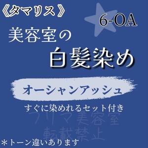 セール中☆タマリス ヘアカラー　白髪染めセット（ショート・メンズヘア用）6-OA