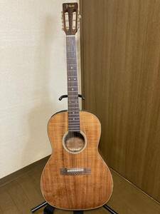 ☆ takamine タカミネ アコースティックギター チューナー内蔵 （ ソフトケース、カポ、ストラップ 付き ）アコギ ギター