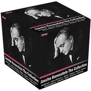 43CD 廃盤 ホーレンシュタイン ベートーヴェン マーラー ブルックナー 交響曲 モーツァルト 歌劇 ブラームス ワーグナー Horenstein
