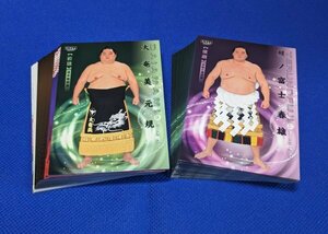■2024 BBM 大相撲カード 響 レギュラー81種コンプセット