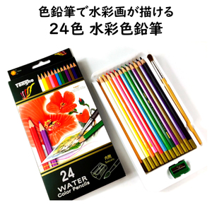 24色 水彩 色鉛筆 水彩画が色鉛筆で描ける 大人から子供まで塗り絵が楽しくなる アートワーク デザイン