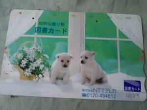 使用済み　図書カード1000円　2匹の仔犬　NTT 　