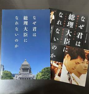 映画パンフレットとちらし「なぜ君は総理大臣になれないのか」