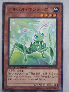 (の-5)ナチュル・マンティス　DTC3-JP049 遊戯王カード　ノーマル　デュエルターミナル