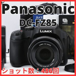 C04/5589-13★新品級★パナソニック Panasonic LUMIX DC-FZ85 【ショット数 486回】