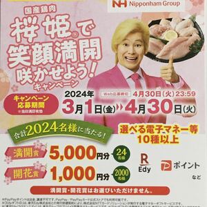 レシート懸賞 選べる電子マネー 10種以上 5000円分 1000円分 PayPay ポイント amazonギフト券 auPAY nanaco waon ponta クオカードペイ　等