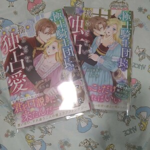 一読のみ！初版!透明カバー付！極上騎士団長の揺るぎない独占愛 1.2巻セット全巻