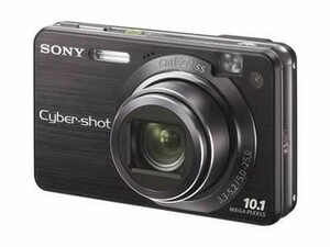 ソニー SONY デジタルカメラ Cybershot W170 (1010万画素/光学x5/デジタルx