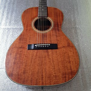 希少 タカミネ Takamine PTN-006 マーチンロゴ ハワイアンコア 専用ハードケース エレキ アコースティックギター ジャパンヴィンテージ 