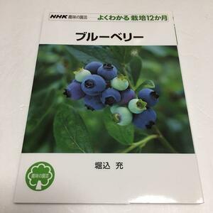 即決　未読未使用品　全国送料無料♪　ブルーベリー (NHK趣味の園芸 よくわかる栽培12か月)　JAN- 9784140401903