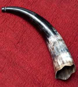 送料無料 トランペット 笛 法螺貝 ベトナム ベトナム水牛のホーン 楽器 角 子供 民族楽器 インド楽器