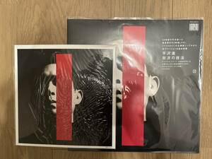 平沢進 / 救済の技法 / アナログ / Amazon特典メガジャケ付き / 2枚組 / 完全生産限定盤 / レコード