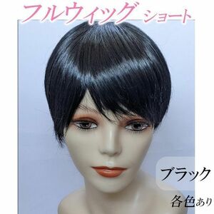 フルウィッグ ショート ブラック 黒 エクステ 人工頭皮 つむじ有り ネット付 コスプレ 薄毛 白髪隠し 脱毛症 新品 男装にも 人気