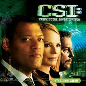 2010年 輸入 CSI カレンダー〔新品〕 10CM-901