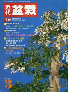 月刊 近代盆栽 1987年3月号 特集 樹格を上げる植え替え法 中古