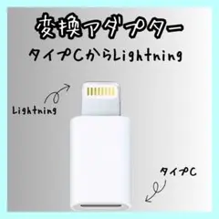 タイプⅭからライトニング 変換アダプター  typeⅭ iPhone 充電　白