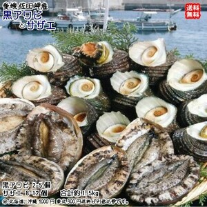 黒アワビ2~5個で400~500g サザエ8~12個で900~1000g 愛媛 浜から直送 送料無料 北海道/沖縄/東北は別途送料 宇和海の幸問屋