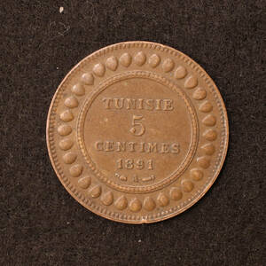 KM#221/フランス領チュニジア 5サンチーム銅貨（1891）[E3175]コイン