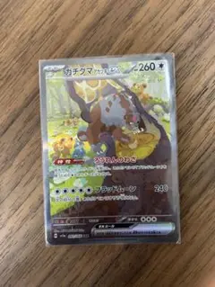 ポケモンカード　ガチグマアカツキsar SAR