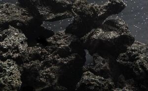 富士山溶岩 高濾過 溶岩石 3kg 50-100㎜ 黒 水槽 アクアリウム ビオトープ水槽　アクアリウム　石　水槽レイアウト　水質改善　メダカ