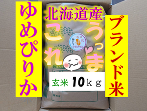 【送料無料】ゆめぴりか　１等米　玄米10キロ　特A北海道米　令和５年産　農家直送