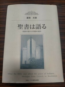 即決！送料無料 聖書は語る 聖書66巻からの聖別の恵み 藤巻充 日本ホーリネス教団出版局