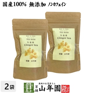 健康茶 国産100% 生姜茶 ジンジャーティー 2g×12パック×2袋セット 熊本県産 送料無料