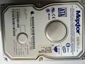 Maxtor　DiamondMax 10　250GB