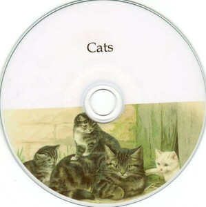 ビンテージ子猫ねこネコ/絵写真540画像集大量動物イラストGR素材/猫犬アニマル可愛い手書きハンドライティングキュート猫じゃらし歴史研究