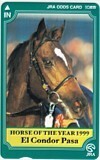 オッズカード エルコンドルパサー HORSE OF THE YEAR 1999 オッズカード10 U0002-0218