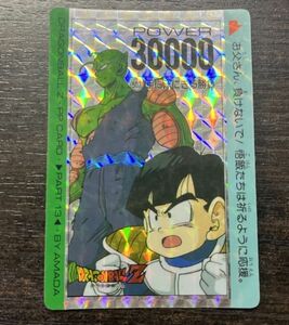 ドラゴンボールZ PPカード キラ パート13 No.507 手に汗にぎる勝負 孫悟飯 ピッコロ シールタイプ アマダ AMADA