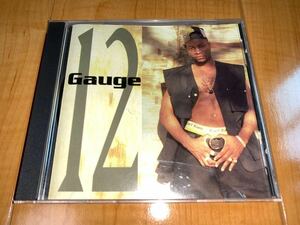 【即決送料込み】12 Gauge / 12 ゲージ 輸入盤CD