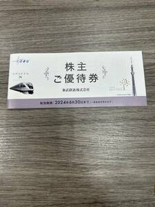 【C-24529】 １円～ 東武鉄道 株主優待券 冊子 （有効期限2024年6月30日迄）東京スカイツリー 東武動物公園 東武百貨店等 未使用 保管品 